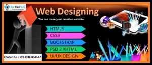 Website Designing Company In Delhi NCR 